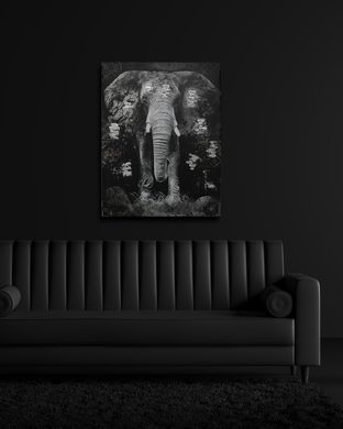 Картина Elephant Black / Grey 75х100 cm з доставкою по Україні