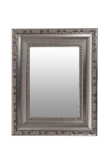 Настінне дзеркало Foster S125 Silver Grey, сіро-срібний