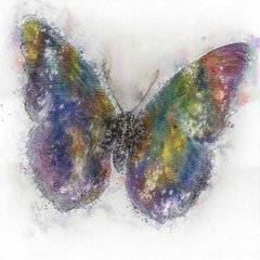 Фреска Buttterfly (Метелик), 80х80 см