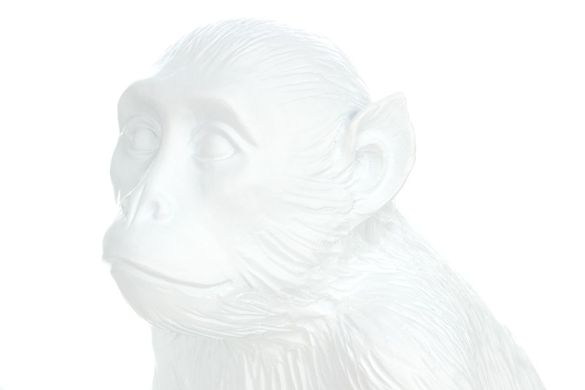 Настольная лампа Monkey K110 White, белый