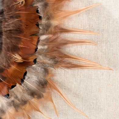 Картина из перьев Dandy (Денди) светло-коричневая