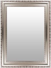 Настенное зеркало Foster S225 Silver/Grey серебряно-серого цвета